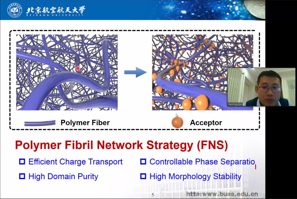 Poylymer Fibrils